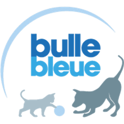 Logo Bulle Bleue